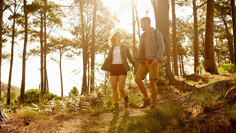 Explore - Skyline Ridge