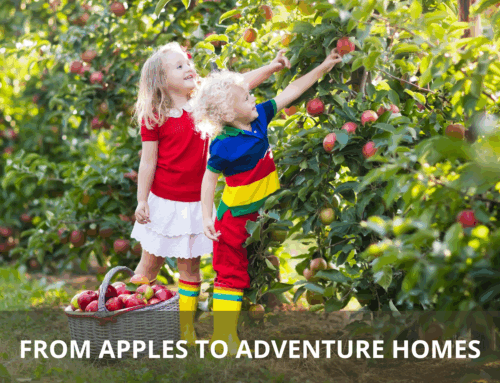 Apple Picking Adventures in Cle Elum