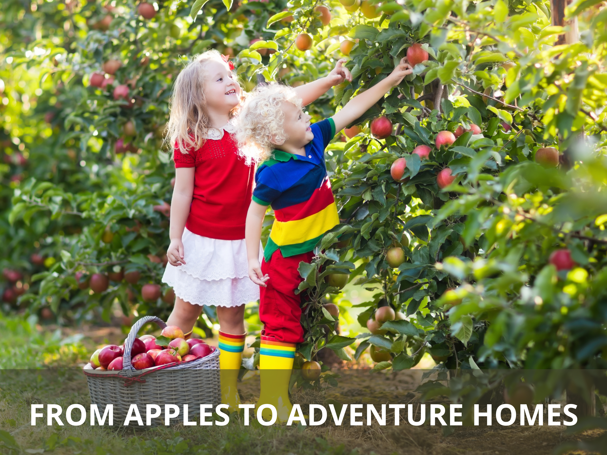 two young sisters picking apples in an orchard with bushel of apples